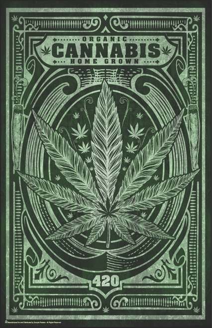 Organic Home Grown Cannabis Mini Poster- 11" x 17"