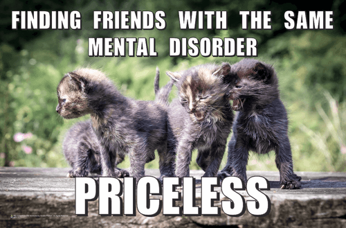 Priceless - Friends With The Same Mental Disorder Mini Poster - 17x11