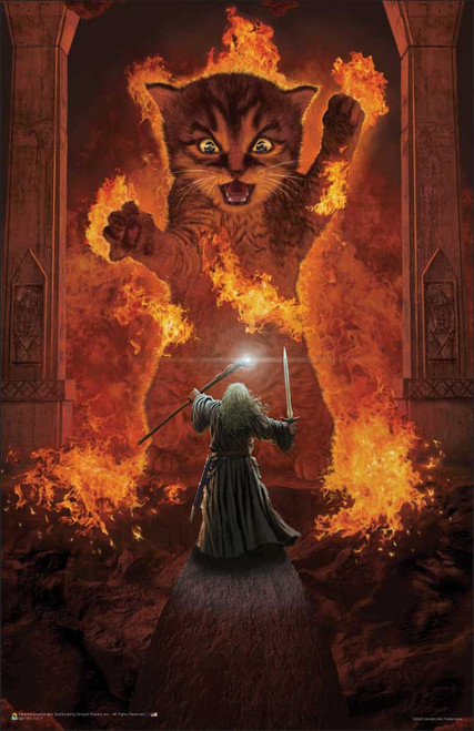 You Shall Not Pass! by Vincent Hie Mini Poster - 11 x 17 inches