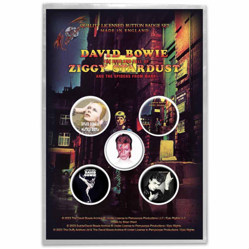 Pop Culture - Bands & Musicians - David Bowie - The Blacklight Zone