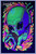 Alien Encounter Flocked Blacklight Poster - 23" x 35"