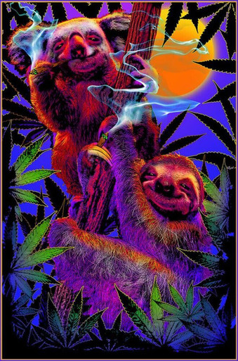 Painted Sea Turtles Black Light Poster 23 x 35