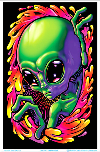 Alien Encounter Flocked Blacklight Poster - 23