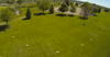 FPV Field Large Arrows (24 pc's)