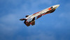 TH 29" EPP F-22 Raptor Jet