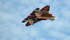 TH 29" EPP F-22 Raptor Jet