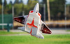TH 29" EPP F-22 Raptor Jet