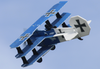 TH 35" EPP Crack Fokker Dr.1 Tri - Blue