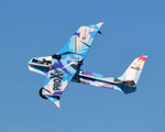 TH 44" EPP FPV ProXy  Crack Vision