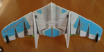 TH 30" EPP Crack WING
