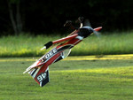 VA-Model 41" Extra 330sc EPP Full Fuse