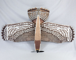HM 54" EPP ARA  (HAWK or MACAW) HM 54" EPP ARA  (HAWK or MACAW)