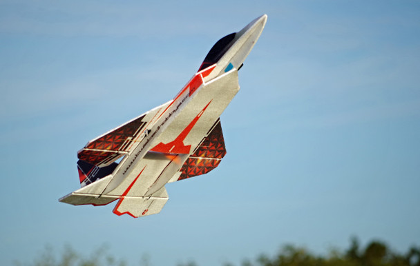 TH 29" EPP F-22 Raptor Jet