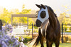 Provide your horse with relief from flies, bugs and other irritants with the Bug Relief Full Mask. With 75% UV protection, it's a must-have accessory during warm spring and summer months.

Anatomically shaped for security and comfort, the soft, four-way stretch fabric provides a close and comfortable fit. The pull-on design minimises the chance of rubbing and stops any flies from getting under the mask.

Bug-eye eye darts maximise freedom and visibility around the eyes, while breathable mesh ears provide airflow to keep your horse cool and comfortable. A forelock slit offers increased comfort and security.