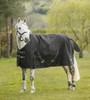 Rhinegold Torrent Outdoor Rug