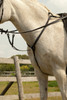 Beautifully crafted and finished with a neat stitching detail in contrasting white.

With detachable running martingale and fully adjustable straps.
