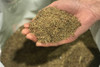 Pure Linseed is unique in our range as it contains nothing but linseed. It is high in slow-release calories and protein and can be fed alongside any other Pure feed. It is the perfect top-up for horses that need extra help maintaining condition or an extra source of slow-release energy. You feed it straight from the bag with no need to soak or boil, making it super convenient.