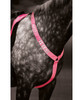 The EQUI-FLECTORÂ® breastplate features high visibility fabrics and reflective detailing to help keep you and your horse visible in low light or on the road. Secured via the adjustable neck strap and through the girth loop. Part of the EQUI-FLECTORÂ® range of bright, reflective garments for horse and rider.