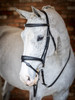 The LeMieux Competition Bridle is show quality with an elegant shaped, padded browband and noseband with decorative stitching.

The discrete, detachable flash loop sits flush within the noseband and is easy to remove, making this beautiful snaffle bridle suitable for a variety of horses. This picture-perfect bridle is made for comfort by avoiding sensitive pressure points and allowing good blood circulation.

The LeMieux Bridles are made from beautifully soft European leather and feature an anatomically shaped headpiece with soft padded cut away around the ears and poll to aid in the distribution of pressure, maximising comfort.