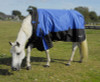 With a unique easily adjustable neckline to allow for the slighter and wider shaped horse.
Ripstop, waterproof, breathable 600 denier outer with a mid-season 50gsm polyfill.
The Phoenix rug offers a lightweight option for in- between the colder months or for hardy types in the winter who do not require a thicker, heavier rug.