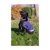 Made in the UK, our canvas dog coat is designed using a traditional waterproof and rot proof canvas with soft tartan lining

Ultimate traditional dog coat offering your dog supreme protection

3 stunning colours, black, green and purple

Easy no hassle fitting