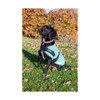 Made in the UK, our canvas dog coat is designed using a traditional waterproof and rot proof canvas with soft tartan lining

Ultimate traditional dog coat offering your dog supreme protection

3 stunning colours, black, green and purple

Easy no hassle fitting