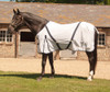 Rhinegold Fly Rug Supplied With Neck Cover
