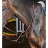 Whitaker Barton Martingale