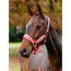 LeMieux Versailles Headcollar Cranberry