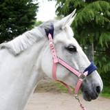 Whitaker HC160 Club Headcollar & Lead Rope Set