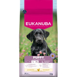 Eukanuba Puppy Large Breed 12kg