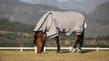 LeMieux Kudos Gladiator Fly Rug
