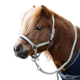 Soft yet durable webbing, double-layered for added strength and longevity. Designed with a padded neoprene anti-pressure headpiece and noseband to provide superior comfort and reduce rubbing.

Fully adjustable on both sides of the headpiece and behind the noseband, ensuring a precise and secure fit. Finished with a convenient trigger clip at the throat for quick release and effortless handling.
Complete with cotton leadrope.
Supplied in re-usable zip up bag.

Fully Padded Headpiece and Noseband
Double Side Adjustable Headpiece Strap
Adjusts at Noseband