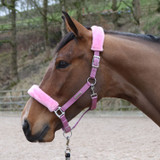 Whitaker Leyburn Headcollar & Lead Rope