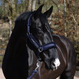 Whitaker Holmfirth Furry Headcollar & Lead Rope