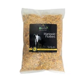 Lincoln Herbs Marigold Flowers