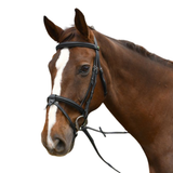 Rhinegold Bridle with Detachable Flash Noseband