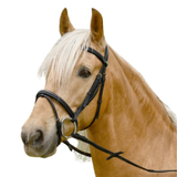 Rhinegold Elegance Stitched Flash Bridle
