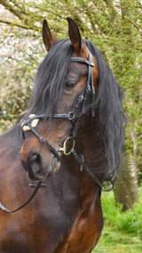 Rhinegold Elegance Stitched Mexican Bridle