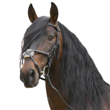 Rhinegold Elegance Stitched Mexican Bridle