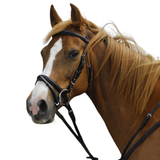Windsor Leather Flash Bridle