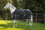 Rhinegold Konig Mediumweight Turnout Rug