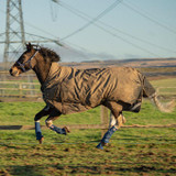 Equilibrium Equi-Chaps Hardy Chaps Equilibrium Equi-Chaps Hardy Chaps