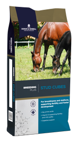 Dodson & Horrell Stud Cubes are a complentary feed designed specifically for mares and stallions. 

These stud cubes contain vitamin E supports fertility and milk quality. They also contain animo acids which support growth and developmenty along with MOS, FOS (prebotic) and ActiSaf which are put in place to a healthy hindgut environment, fibre fermentation and nutrient uptake.