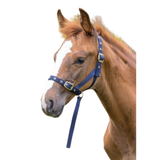 Shires Foal Slip