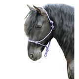 KM Elite Everyday Rope Halter