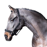 Whitaker Ready To Ride Leather Headcollar