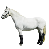 Rhinegold Full Length Travel Boots