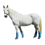 Rhinegold Half Length Travel Boots