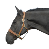 Rhinegold Anatomical Leather Headcollar